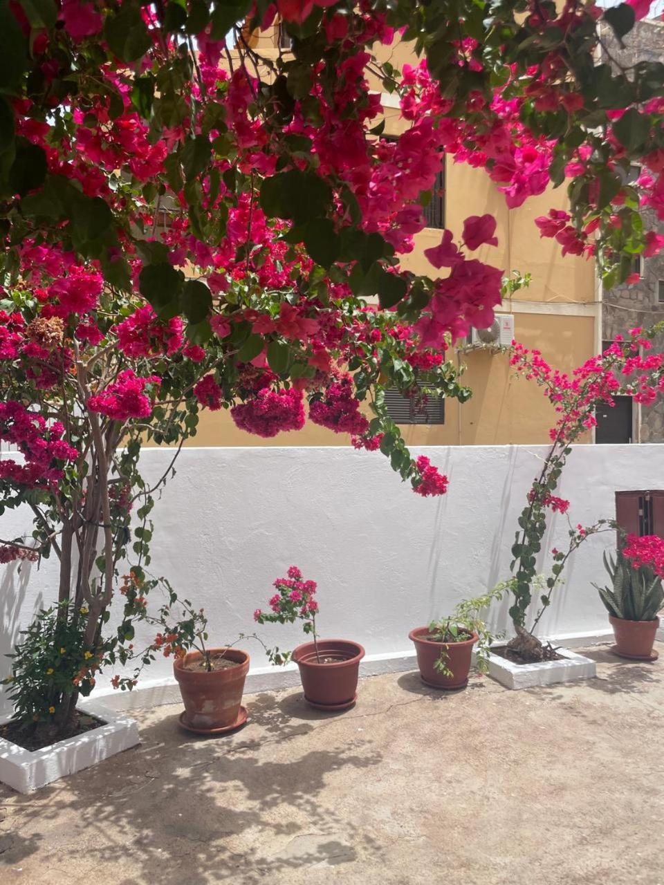 Casa Estrela - Sea & Art Guesthouse Praia Exterior photo